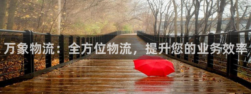 28圈加拿大app预测