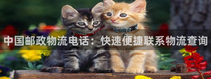 28圈选28ng官网：中国邮政物流电