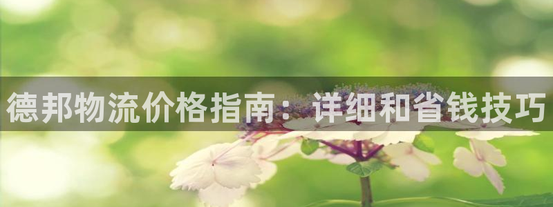 28圈吧