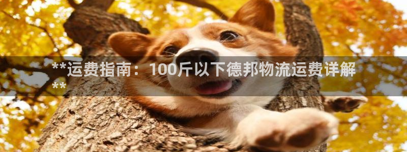 28圈比特28预测在线预测