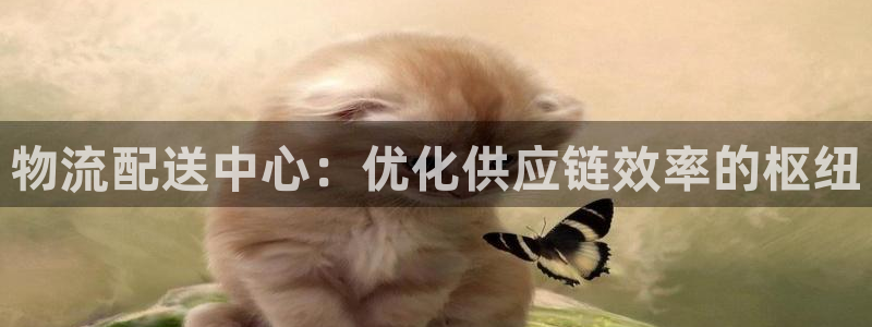 28圈.ccm正版