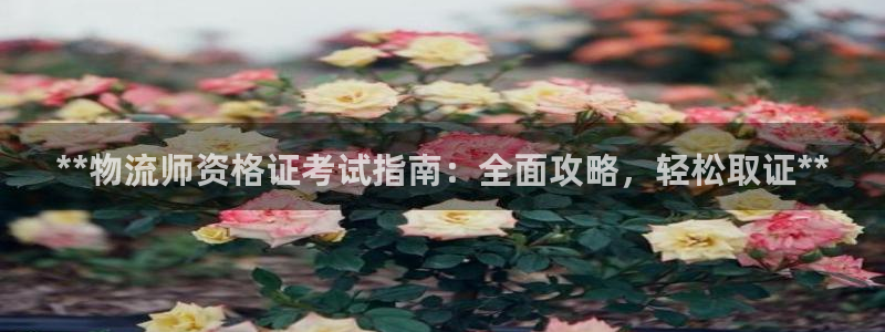 28圈注册网站加拿大：**物流师资格