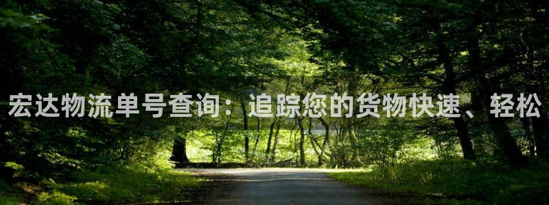 28圈预测网