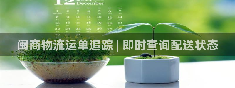 28圈网赌案件