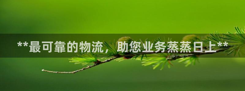 28圈加拿大