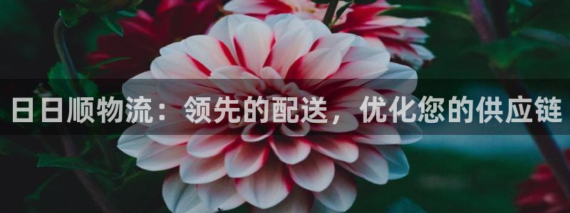 28圈口
