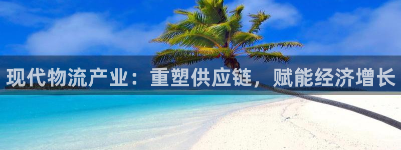 28圈ccm游戏：现代物流产业：重塑