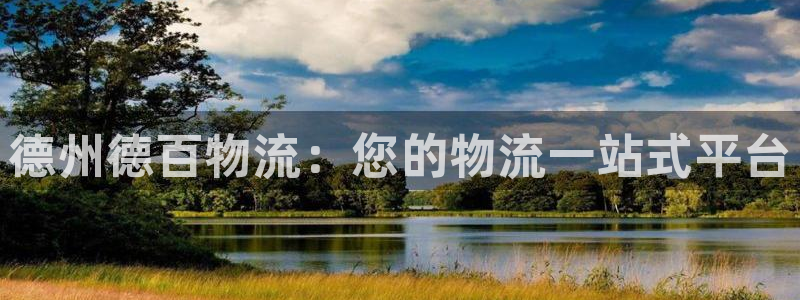 28圈充值：德州德百物流：您的物流一