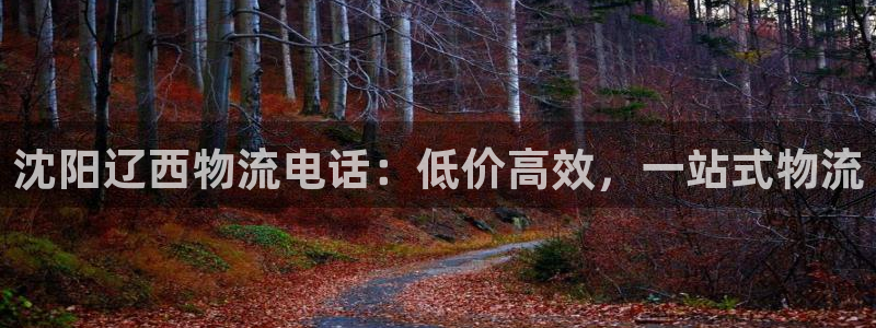 28圈激活码
