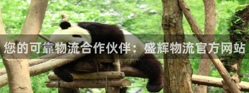 28圈如何注销账号：您的可靠物流合作