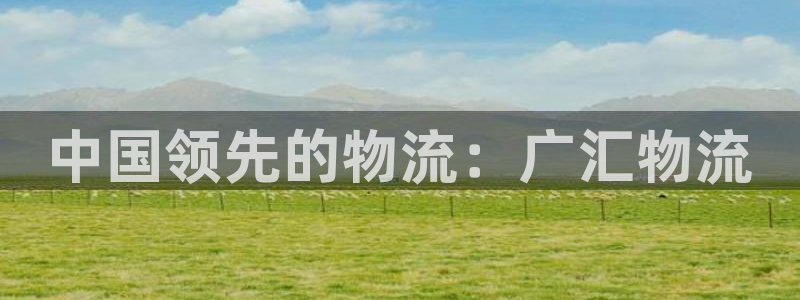 28圈是正规平台吗