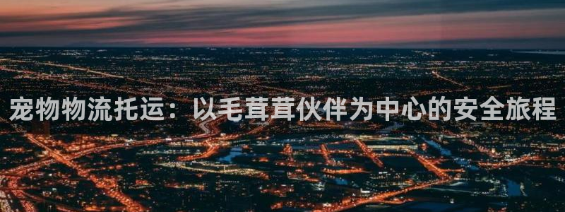 28圈加拿大2.8预测在线预测：宠物