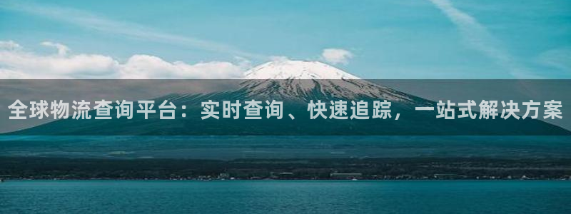 28圈官网版2024