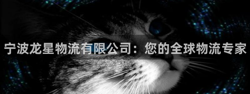 28圈里的财神：宁波龙星物流有限公司