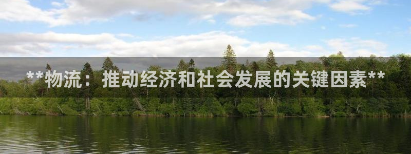 28圈旗下：**物流：推动经济和社会