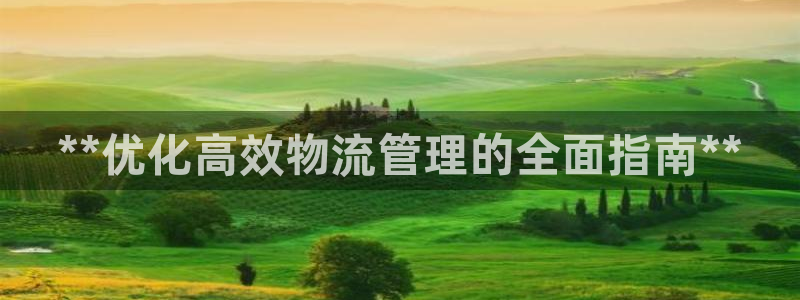 28圈注册登录：**优化高效物流管理