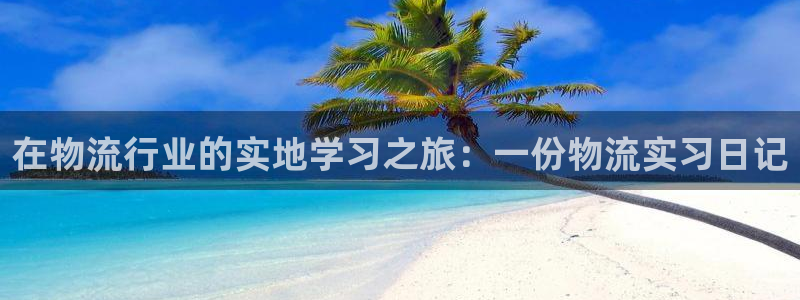 28圈电子游戏