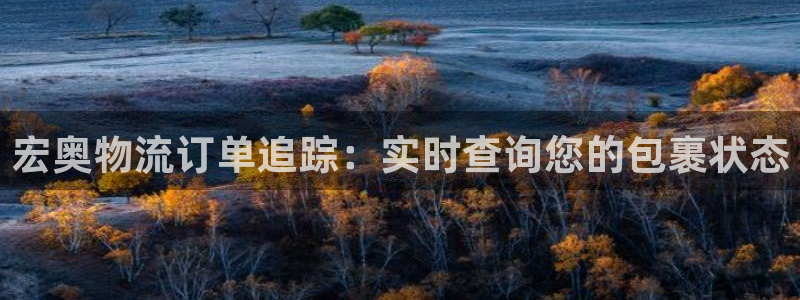 28圈.ccm正版：宏奥物流订单追踪