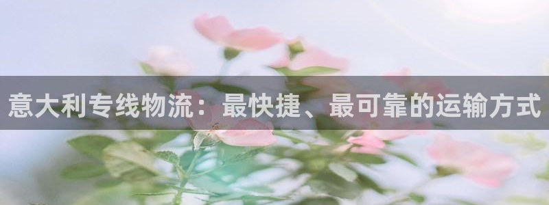 28圈注册入口与教程：意大利专线物流