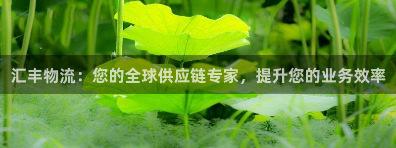 28圈官网版所有版本