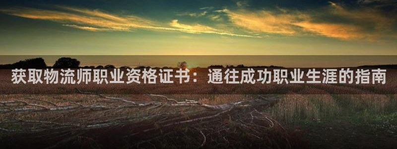 28圈电子游戏：获取物流师职业资格证