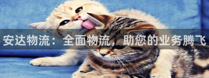 28圈充值：安达物流：全面物流，助您