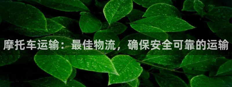 28圈网站平台