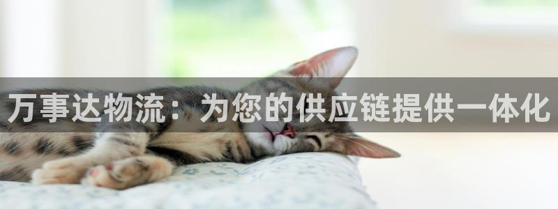 28圈是什么是赌博吗?