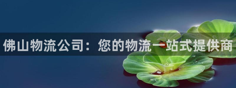 28圈app注册地址：佛山物流公司：