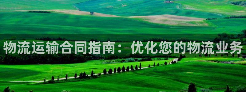 28圈在线预测官网