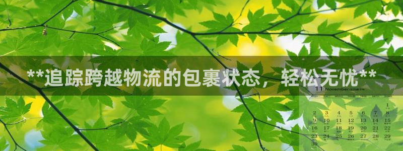 28圈充值不处理