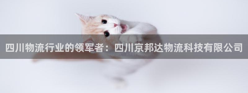 28圈加拿大真假怎么看
