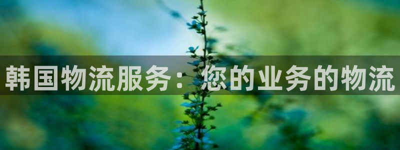 28圈下载不了