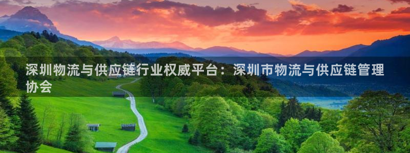 28圈激活码：深圳物流与供应链行业权