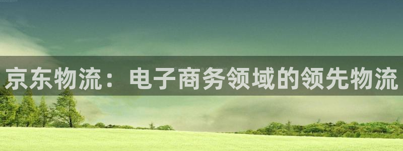 28圈加拿大pc预测：京东物流：电子