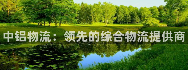 28圈怎么注册：中铝物流：领先的综合