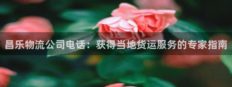28圈口戒指是多大：昌乐物流公司电话