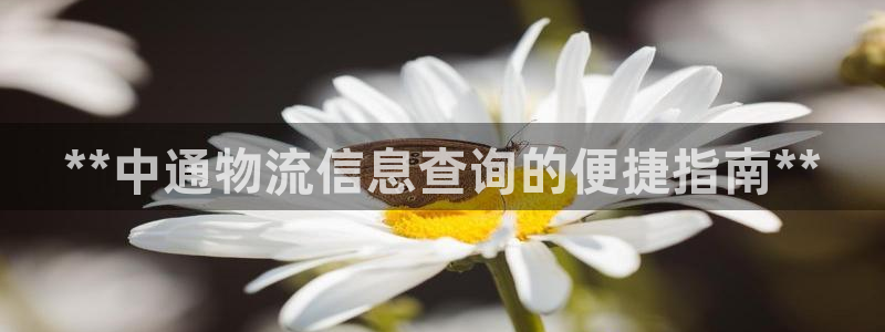 28圈相信品牌的力量：**中通物流信