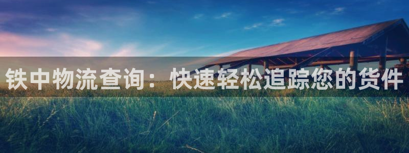 28圈注册流程：铁中物流查询：快速轻