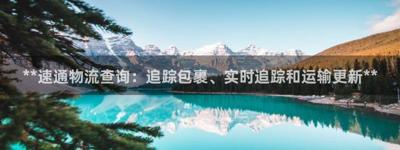 28圈充值方式：**速通物流查询：追