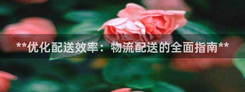 28圈app注册地址：**优化配送效