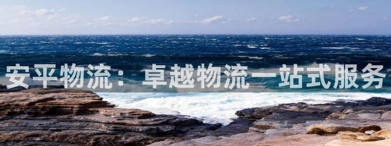 28圈圈助手：安平物流：卓越物流一站