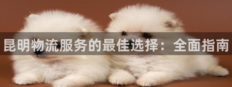 28圈登录流程：昆明物流服务的最佳选