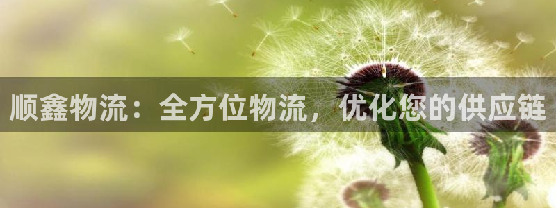 28圈稳吗：顺鑫物流：全方位物流，优