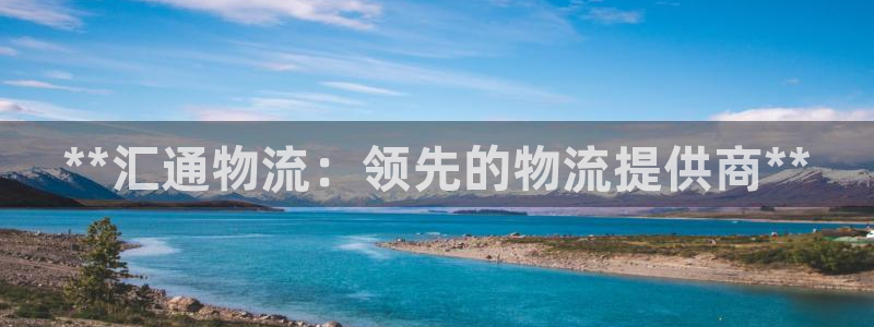 28圈头像：**汇通物流：领先的物流