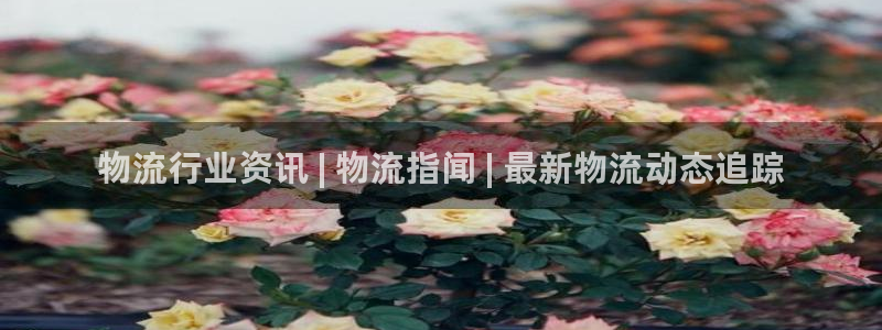 28圈官方