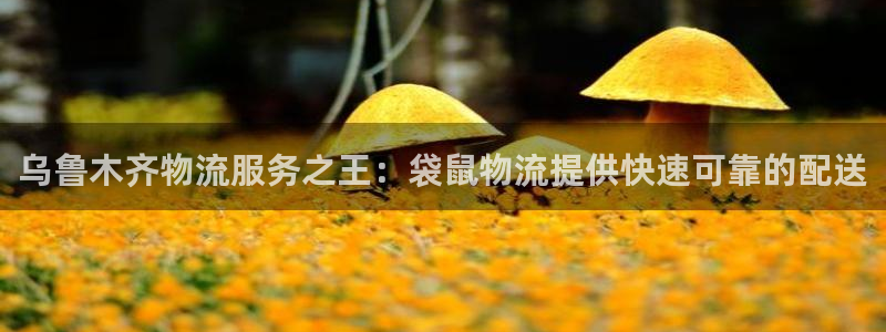 28圈为什么没有赢过一次：乌鲁木齐物