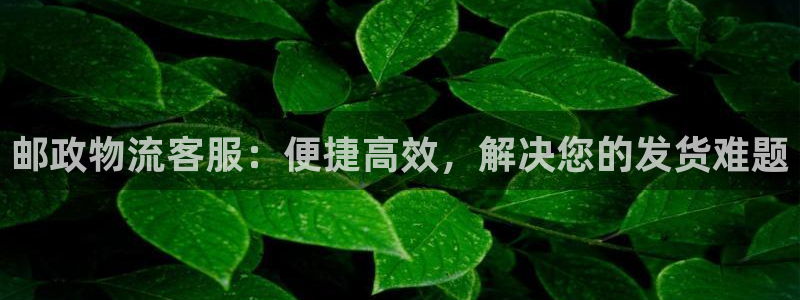 28圈那个才是充值账号：邮政物流客服