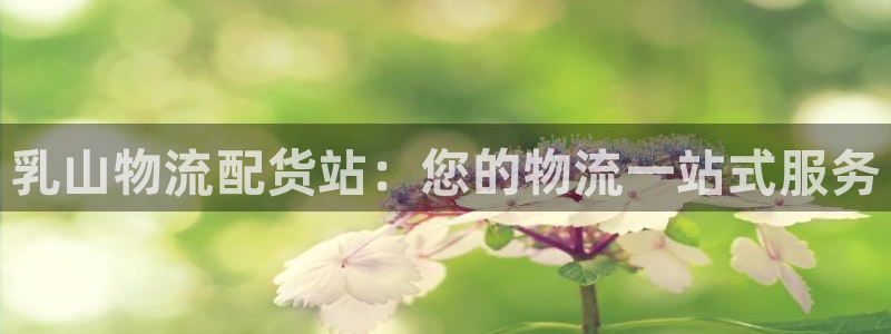 28圈官方版网站