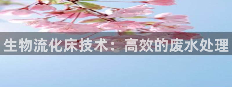 28圈软件有什么用